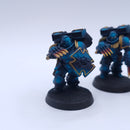 Warhammer 40k: Space Marines Vanguard Veterans Conversion Painted BSB12