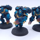 Warhammer 40k: Space Marines Vanguard Veterans Conversion Painted BSB12