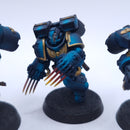 Warhammer 40k: Space Marines Vanguard Veterans Conversion Painted BSB12