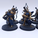 Warhammer AoS: Stormcast Eternals Vigilors Part Painted AZ053