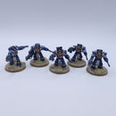 Warhammer Horus Heresy: Cataphractii Terminators with Combi-bolters Painted BO019