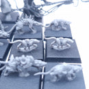 Warhammer Old World: Skaven Moulder Packmaster with Giant Rats oop BP026