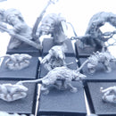 Warhammer Old World: Skaven Moulder Packmaster with Giant Rats oop BP026