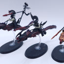 Warhammer AoS: Idoneth Deepkin Akhelian Morrsarr Guard Part Painted AJ181