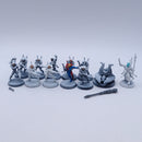 Warhammer 40k: Aeldari Guardian Defenders with Spiritseer BTD29