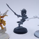 Warhammer 40k: Aeldari Howling Banshees BTD30