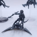Warhammer 40k: Drukhari Hellions BTC69