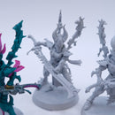 Warhammer 40k: Drukhari Incubi BTD04