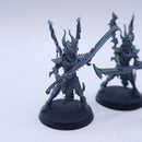 Warhammer 40k: Drukhari Incubi BTD05