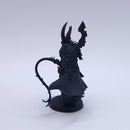 Warhammer 40k: Drukhari The Visarch BN020