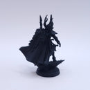 Warhammer 40k: Drukhari The Visarch BN020