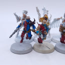 Warhammer 40k: Drukhari Wyches BTD10