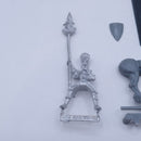 Warhammer The Old World: Wood Elves Glade Rider Standard Bearer BJ234