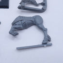 Warhammer The Old World: Wood Elves Glade Rider Standard Bearer BJ234