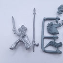 Warhammer The Old World: Wood Elf Lord Mounted BSD50