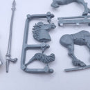Warhammer The Old World: Wood Elf Lord Mounted BSD50