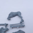 Warhammer The Old World: Wood Elf Lord Mounted BSD50