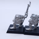 Warhammer The Old World: Orcs and Goblins Orcs Metal BSD51