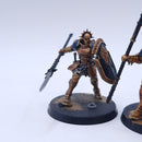 Warhammer AoS: Stormcast Eternals Vindictors Painted AJ121