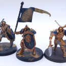 Warhammer AoS: Stormcast Eternals Vindictors Painted AJ121