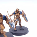 Warhammer AoS: Stormcast Eternals Vindictors Painted AJ121