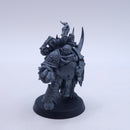 Warhammer 40k: Deathguard Plague Marine Champion and Plague Surgeon BR062