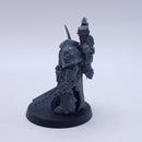 Warhammer 40k: Deathguard Plague Marine Champion and Plague Surgeon BR062