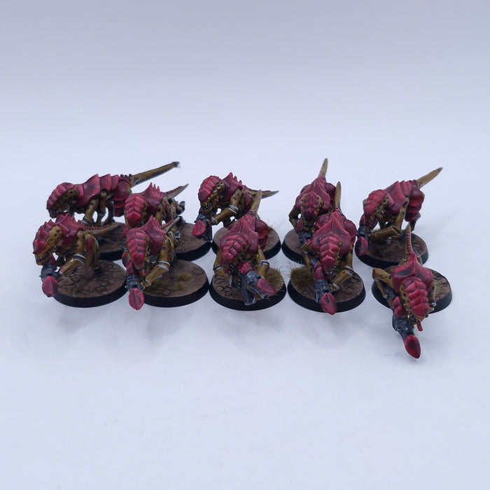 Warhammer 40k: Tyranids Termagants Well Painted BJ079