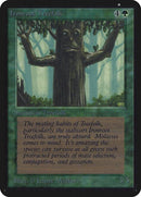 203-ironroottreefolk