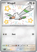 203-wingull