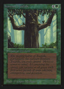 204-ironroottreefolk