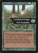 205-kudzu