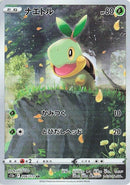 206-turtwig