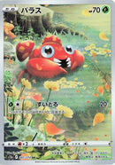 207-paras