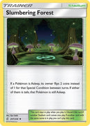 207-slumberingforest