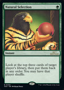 208-naturalselection