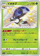 208-orbeetle