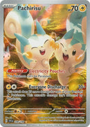 208-pachirisu