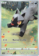 208-poochyena