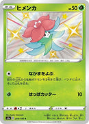 209-gossifleur