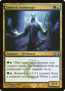 209-zameckguildmage