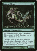 21-fungussliver