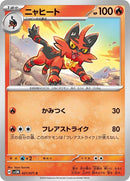 21-torracat