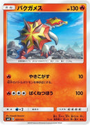 21-turtonator