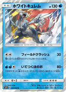 21-whitekyurem