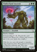 210-timberlandancient