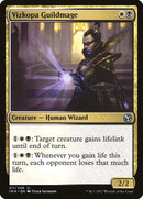 211-vizkopaguildmage