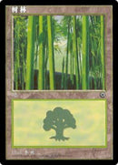 213s-forest