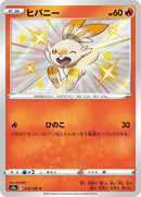 214-scorbunny