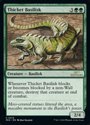 214-thicketbasilisk